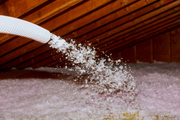 Best Insulation Contractors for Homes  in Allendale, SC