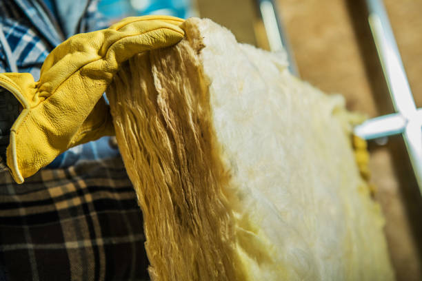 Best Soundproof Insulation Installation  in Allendale, SC
