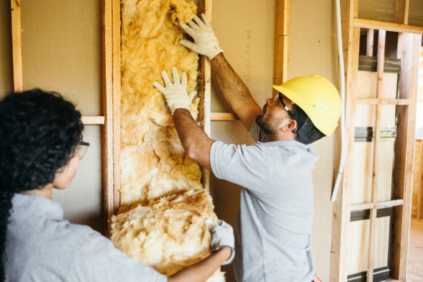 Best Energy-efficient Insulation  in Allendale, SC