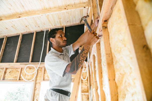 Best Cellulose Insulation  in Allendale, SC