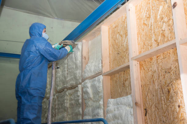 Best Local Insulation Services  in Allendale, SC